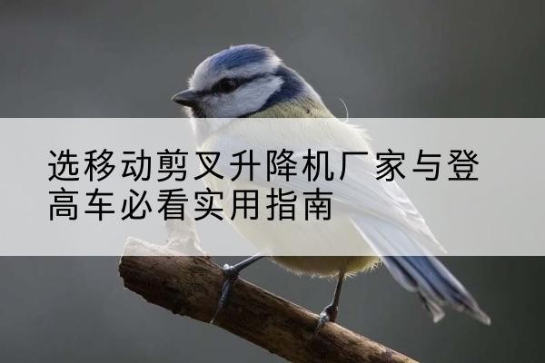 凤冈电动升降机厂家-选移动剪叉升降机厂家与登高车必看实用指南