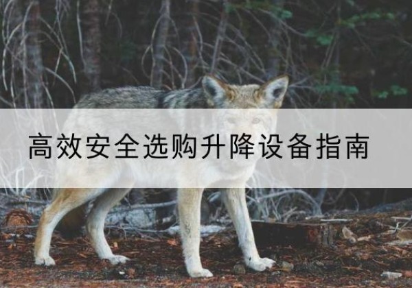 凤冈升降货梯厂家推荐-*安全选购升降设备指南