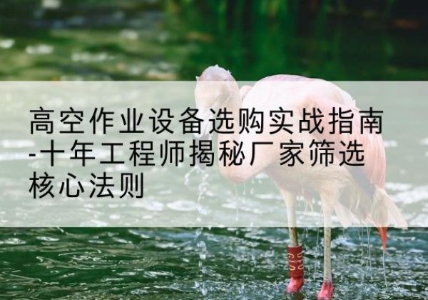 凤冈剪叉式升降机厂家-高空作业设备选购实战指南-十年工程师揭秘厂家筛选核心法则